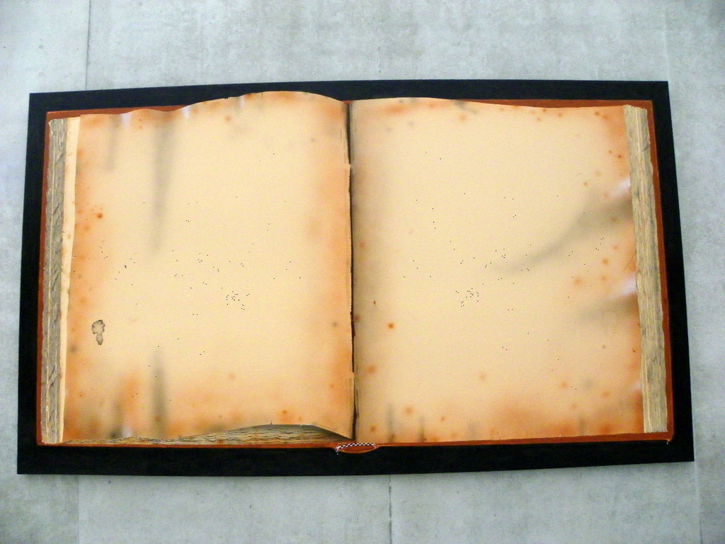 115_3065_JPG-1343147962