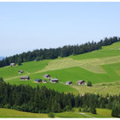 DSC001 _105_.JPG