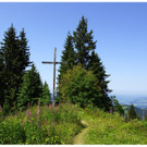 DSC001 _106_.JPG