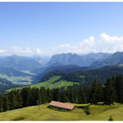 DSC001 _107_.JPG