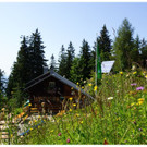 DSC001 _110_.JPG