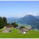 DSC001 _117_.JPG
