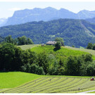 DSC001 _131_.JPG