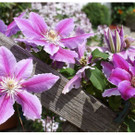 DSC001 _80_.JPG