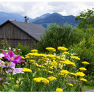 DSC001 _78_.JPG