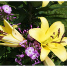 DSC001 _79_.JPG
