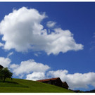 DSC001 _96_.JPG