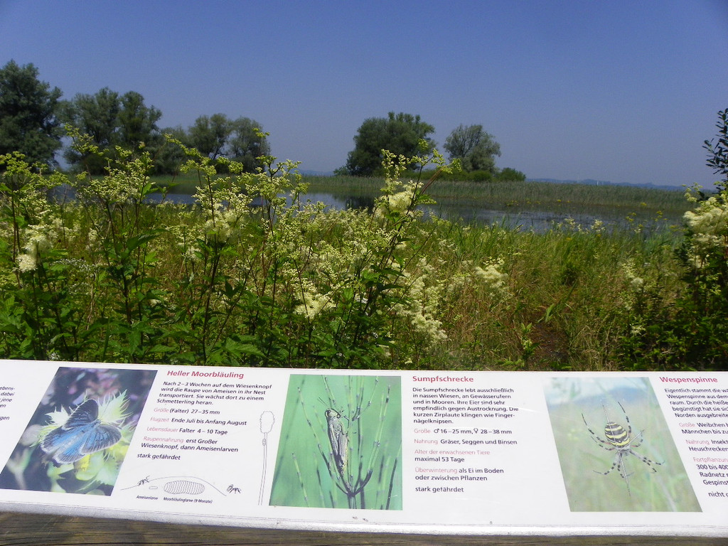 115_1998_JPG-1343166987