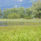 115_0678_JPG-1343166956