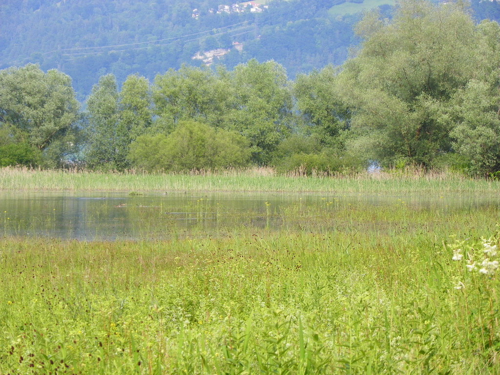 115_0678_JPG-1343166956