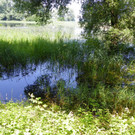 115_1984_JPG-1343166975