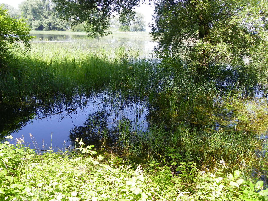 115_1984_JPG-1343166975