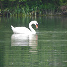 115_2866_JPG-1343167053