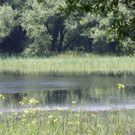 115_1987_JPG-1343166981