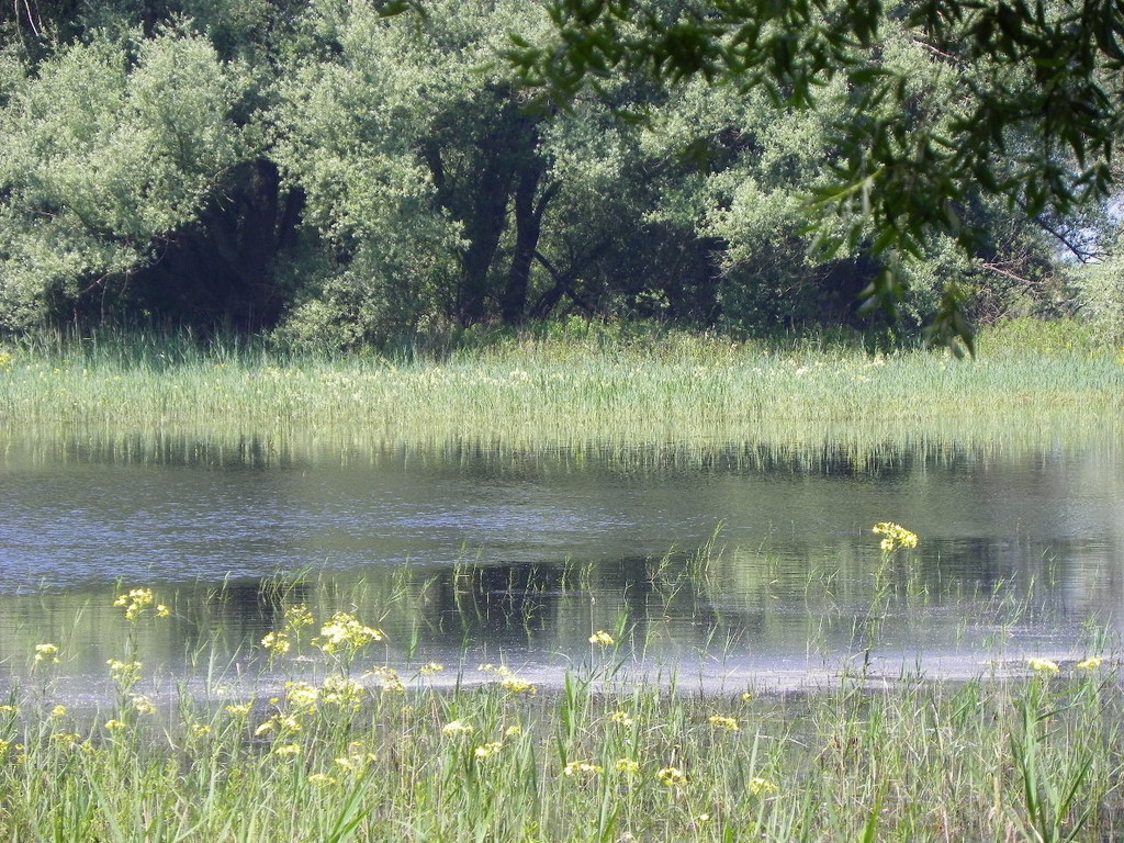 115_1987_JPG-1343166981