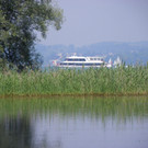 115_2021_JPG-1343166993