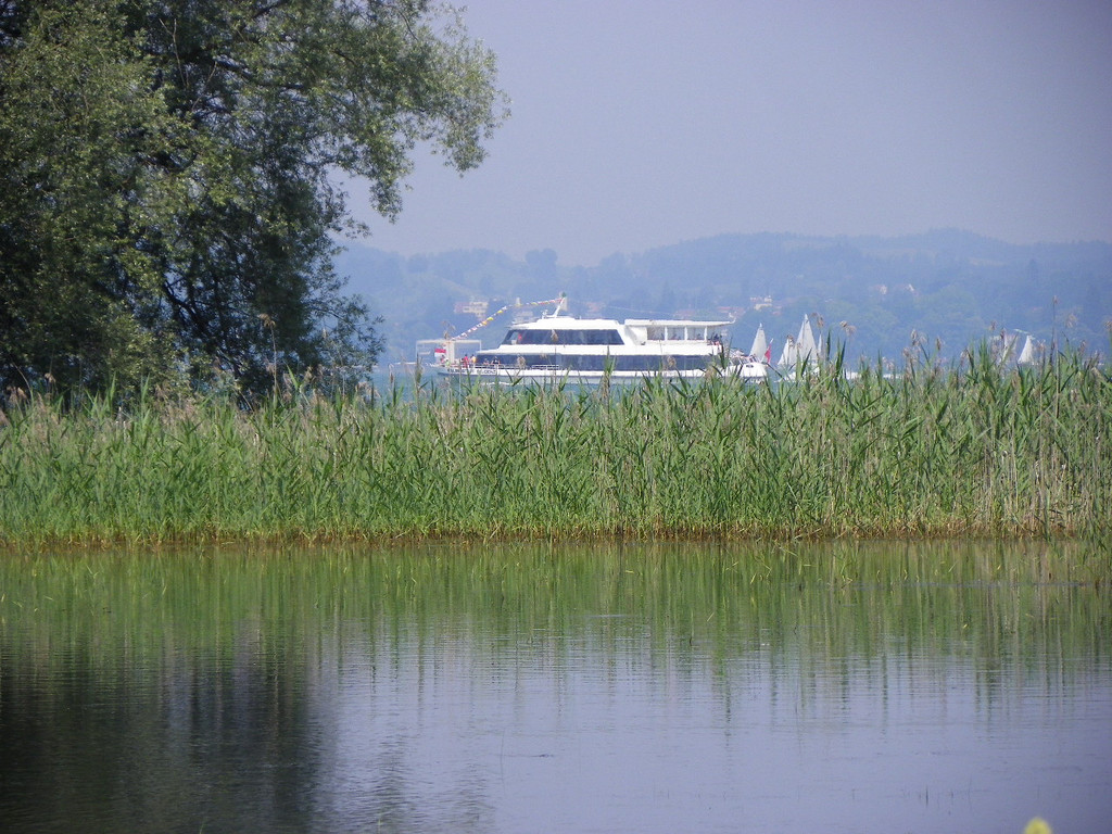 115_2021_JPG-1343166993