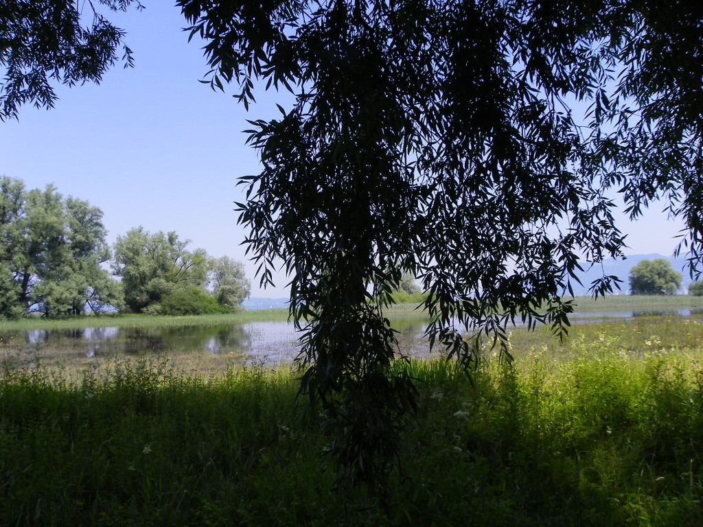 115_2046_JPG-1343166999