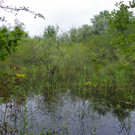 115_2871_JPG-1343167130