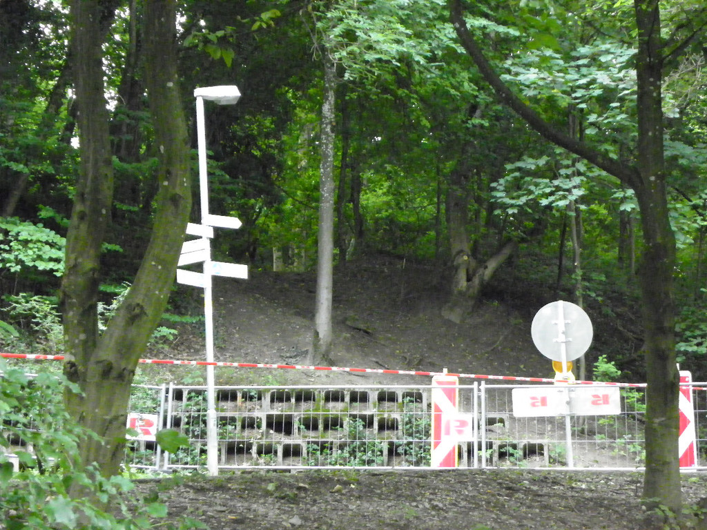 115_4238_JPG-1343169790