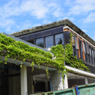 115_0844_JPG-1343170464