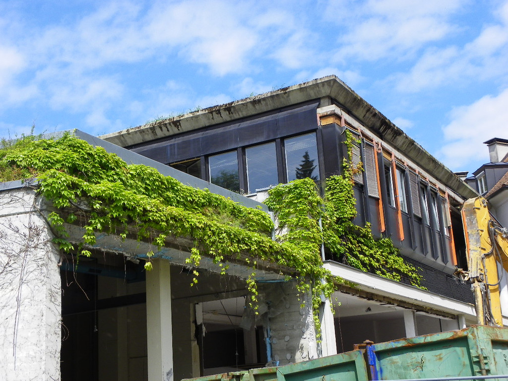 115_0844_JPG-1343170464