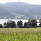 240712badeunfall _16_.JPG