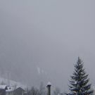 IMG_1395.JPG