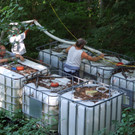 DSCF5613_JPG-1343307597