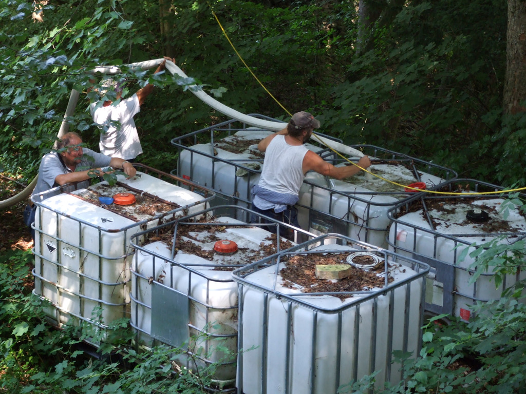 DSCF5613_JPG-1343307597