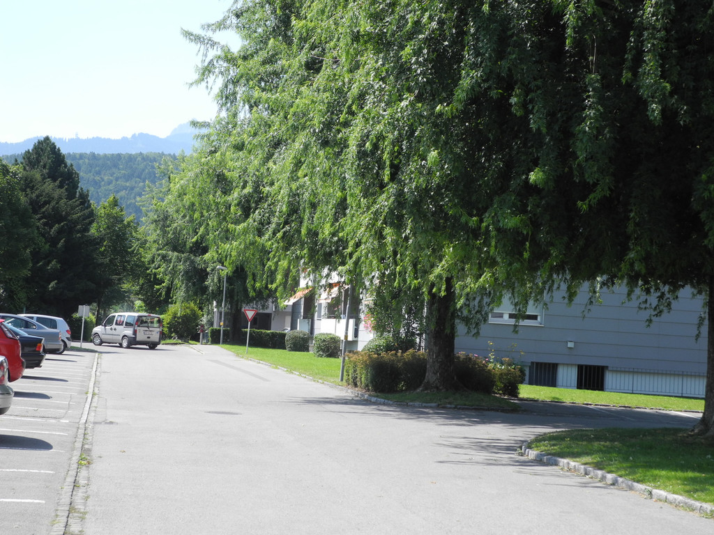 DSCN7122_JPG-1343314755