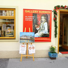 normal_26072012fmt_politikersperre_ta_008.JPG