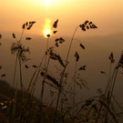 Sonne_00016 _Large__JPG-1343372126