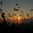 Sonne_00022 _Large__JPG-1343372129