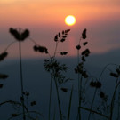 Sonne_00040 _Large__JPG-1343372132