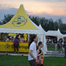 30fc8fa7a0699ac2c7c92f92f83e638c_640.jpg