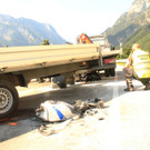 270712vutenneckat04001aktivnews63.JPG