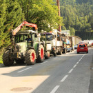 270712vutenneckat04001aktivnews81.JPG