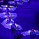 IBD0457-20120728.jpg