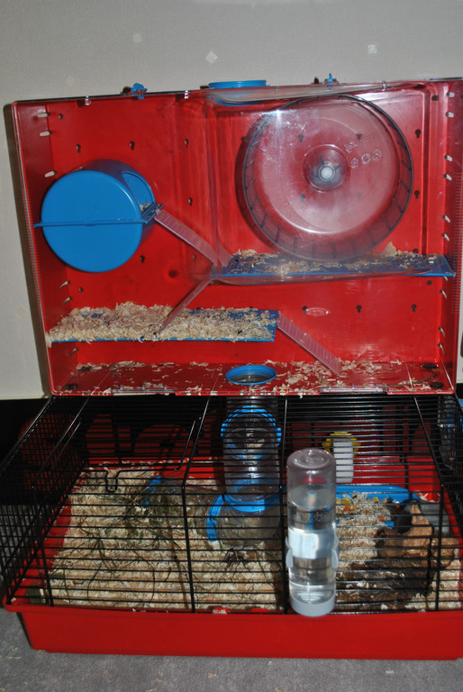 DSC_0519_JPG-1343475669