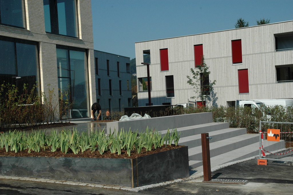 DSC_0249_JPG-1343477604