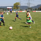 IMG_2446.JPG