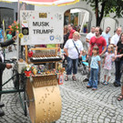 DSCN7347_JPG-1343491374