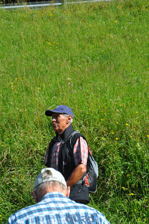DSC_0004_JPG-1343540747