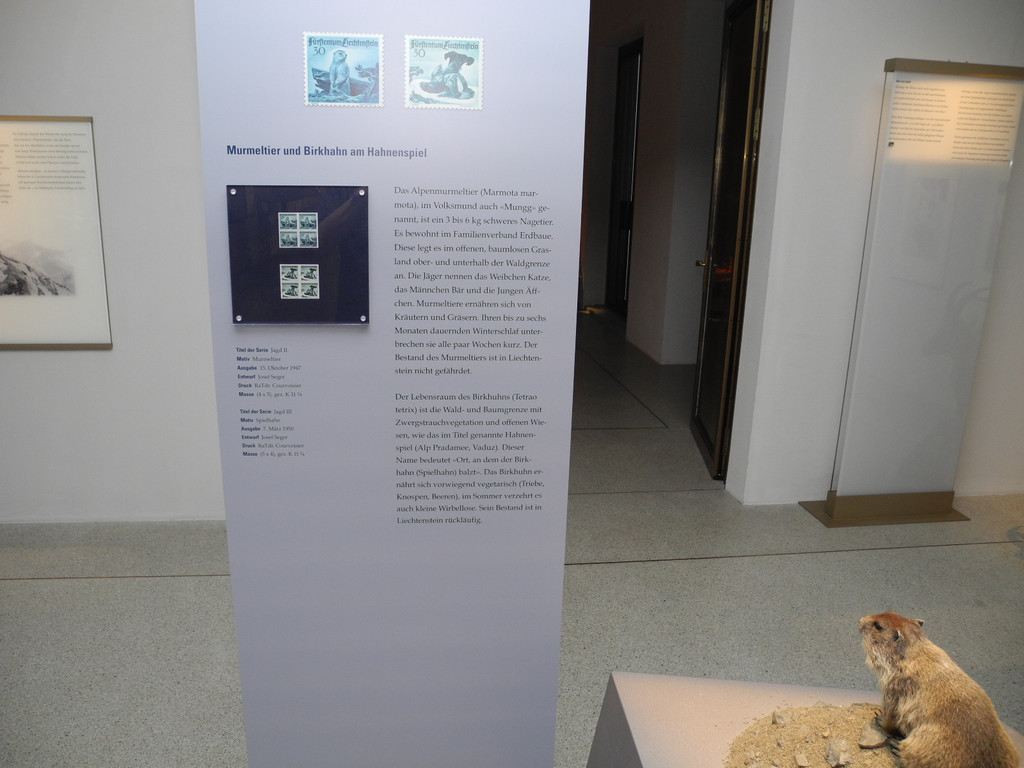 DSCN7228_JPG-1343550392