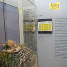 DSCN7229_JPG-1343550406