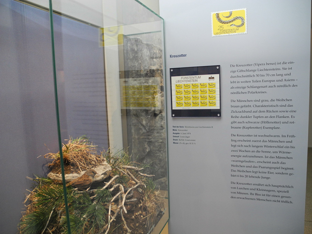 DSCN7229_JPG-1343550406