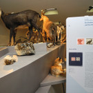 DSCN7231_JPG-1343550431