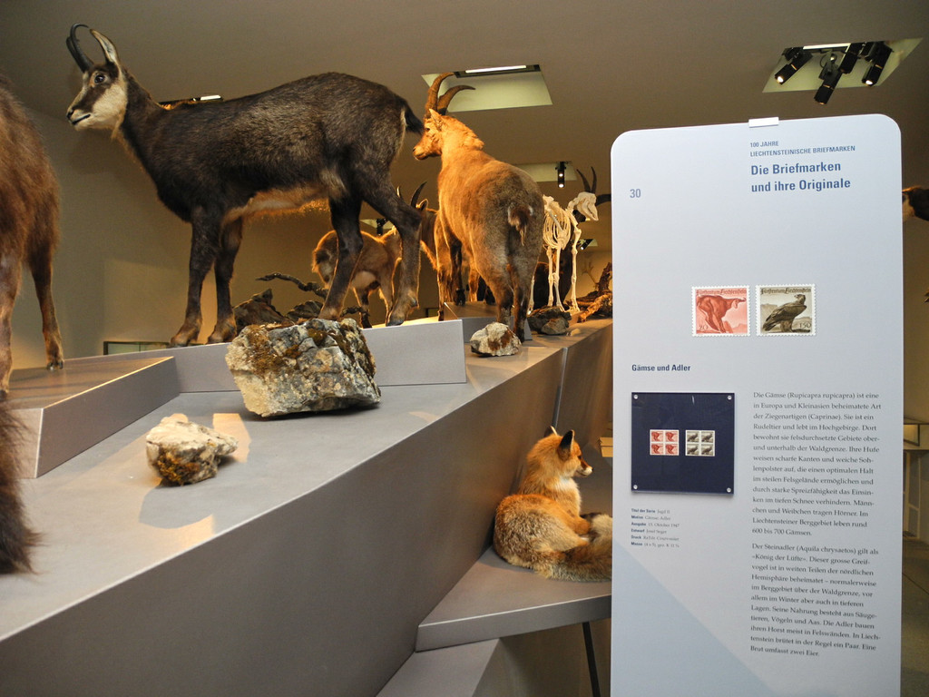 DSCN7231_JPG-1343550431