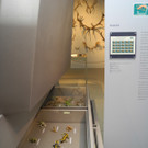 DSCN7232_JPG-1343550448